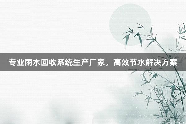 专业雨水回收系统生产厂家，高效节水解决方案